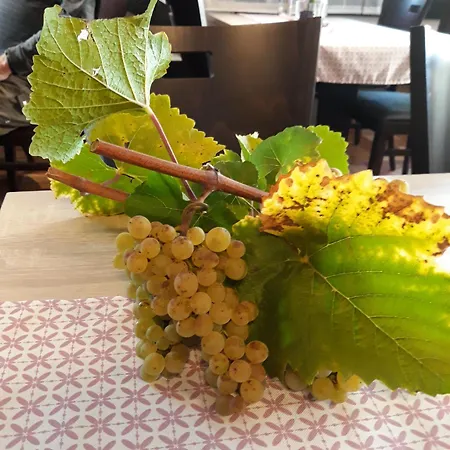 Alt Cues Hotel Verbandsgemeinde Bernkastel-Kues