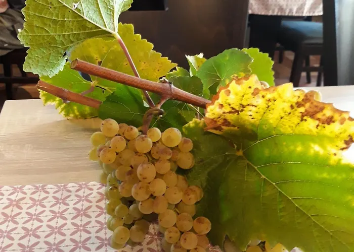 Alt Cues ホテル ベルンカステル・クース